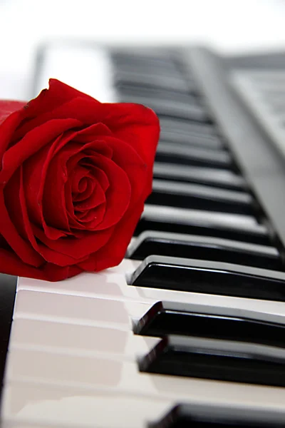 Rosa roja en el piano Fotos de stock libres de derechos