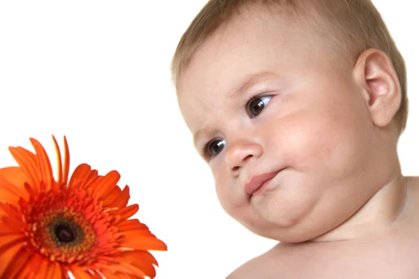 Bebê bonito e flor — Fotografia de Stock