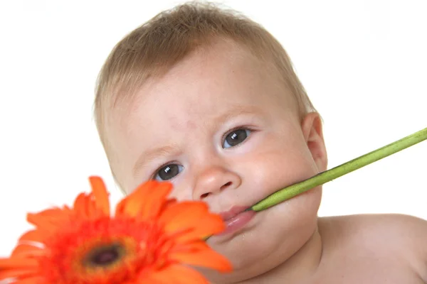 Cute baby with flower in teeth — Stock Photo, Image
