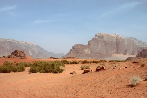 Woestijn in Wadi Rum — Stockfoto