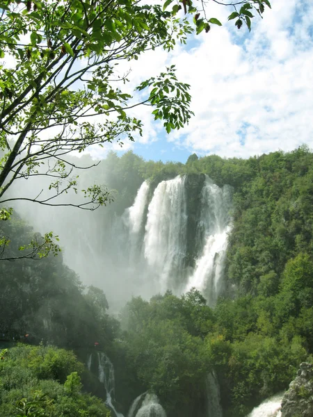 Красивий водоспад в лісі — стокове фото