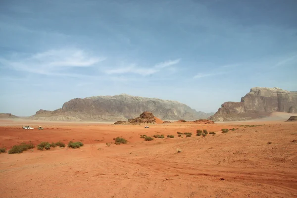 Safari in desert — Stock Photo, Image