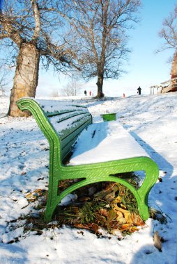 karla kaplı bir parkta benche