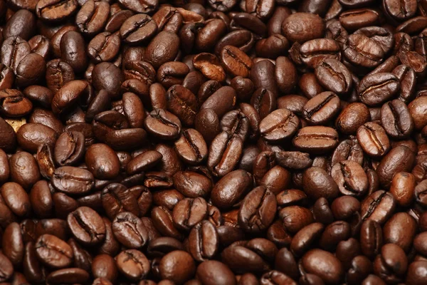 stock image Coffee beans.