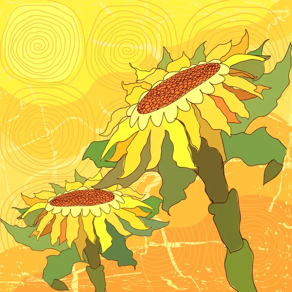Słoneczniki — Wektor stockowy