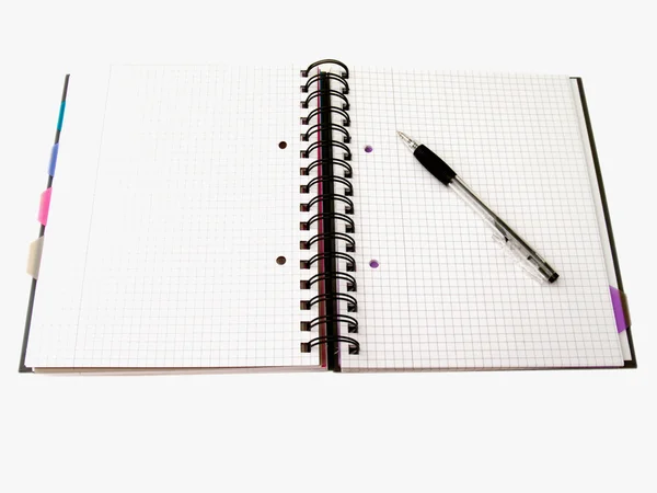 Σημειωματάριο και στυλό, έτοιμη να γράψει — Φωτογραφία Αρχείου