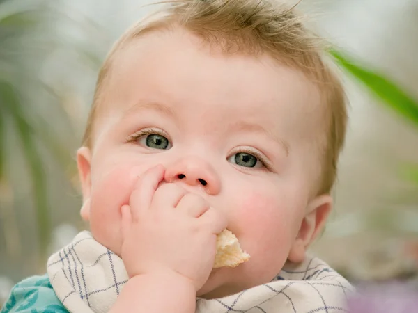 Portrait of a cute young baby boy eating — Stock Photo, Image