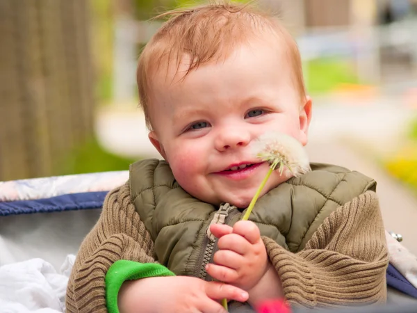 Lindo bebé niño sosteniendo flor y sonriendo —  Fotos de Stock