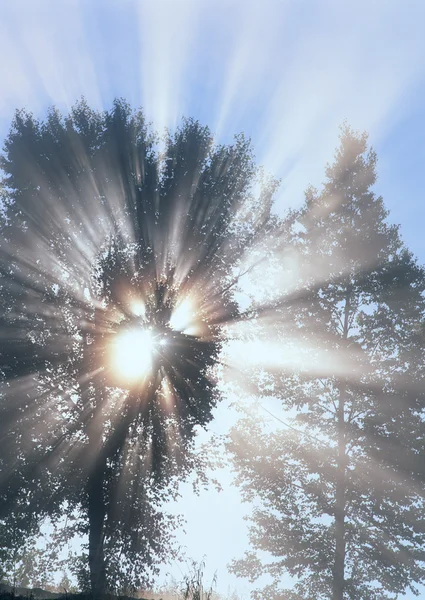 stock image Weather lighting eruption