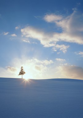 Hava aydınlatma Erüpsiyonu