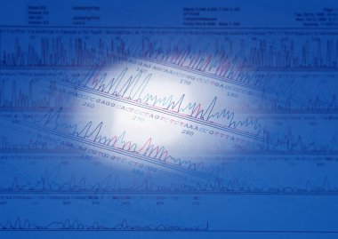 deney ve araştırma laboratuvarı ürünler