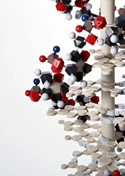 deney ve araştırma laboratuvarı ürünler