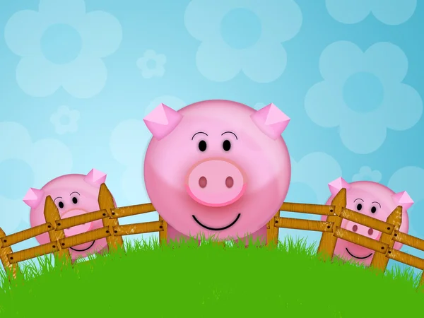 Cassetta dei soldi dei maiali — Foto Stock