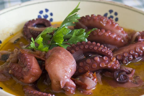 Octopus ferske fødevarer - Stock-foto