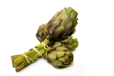 Artichoke clipart