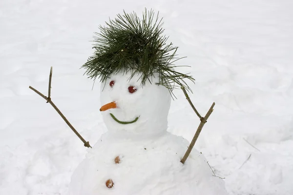 stock image Snowman