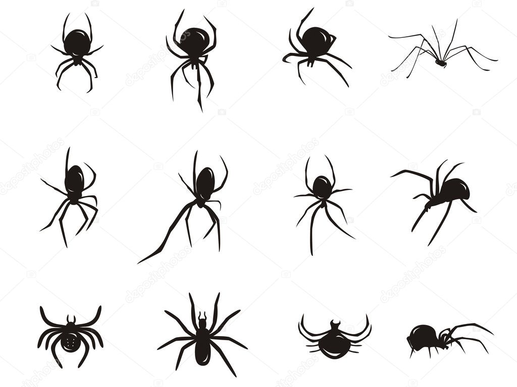 Spider silhouette — Stock Vector © katerinvr #1520942