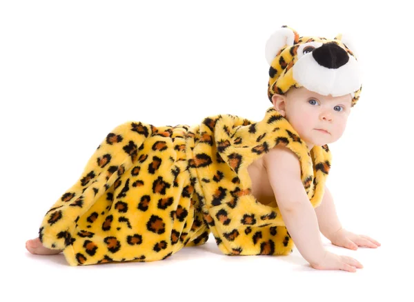 Μικρό αγόρι λοιπόν φόρεσαν σαν τίγρης — Φωτογραφία Αρχείου