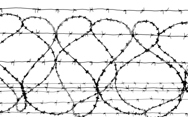 stock image Barbed wire
