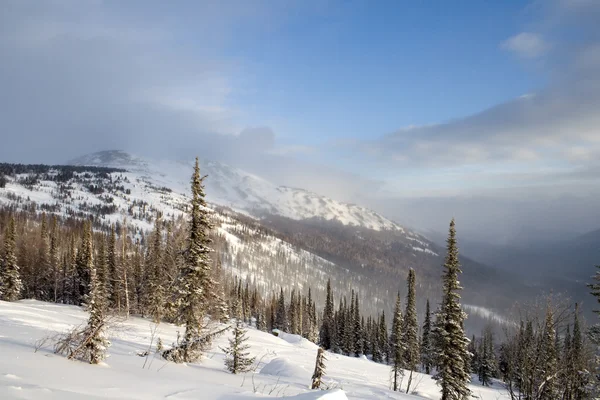Alpina lutning är täckt av snö — Stockfoto