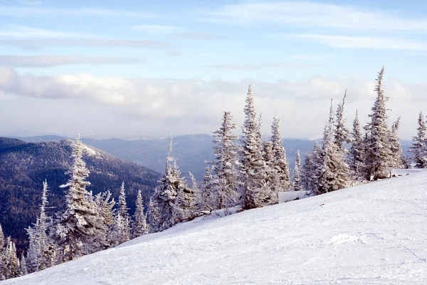 Lutningen för skidåkning och snowboard — Stockfoto