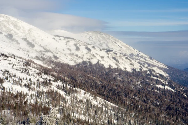 Alpine helling bedekt met sneeuw — Stockfoto
