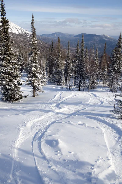 Pista de esquí freeride — Foto de Stock