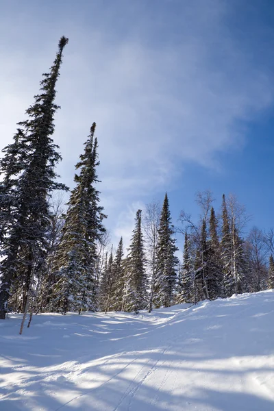 Helling voor freeride skiën — Stockfoto