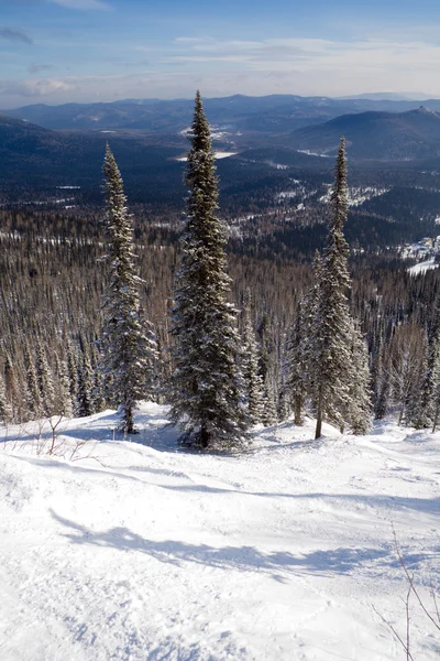 Pista de esquí freeride — Foto de Stock