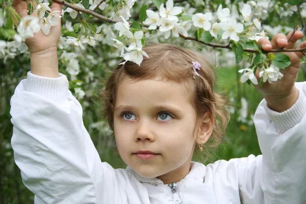 Liten flicka och en blommande körsbär — Stockfoto