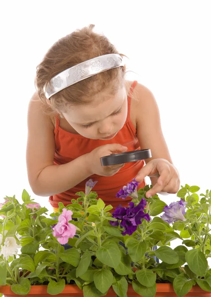 Jong meisje onderzoeken een bloem — Stockfoto