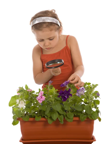 Mladá dívka zkoumá květ — Stock fotografie