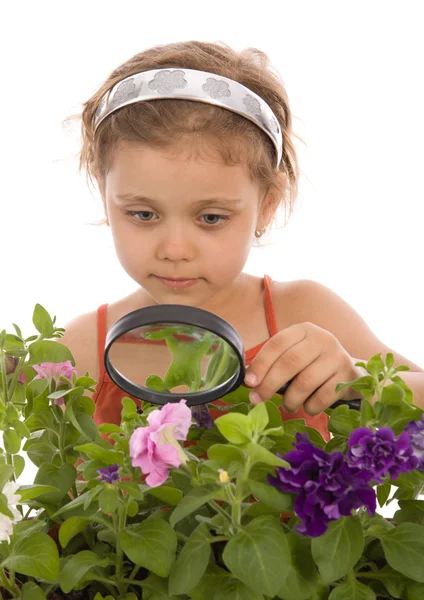 Child is looking through a magnifying gl — Stock Photo, Image