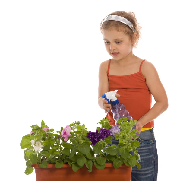 Молодая девушка поливает цветок — стоковое фото