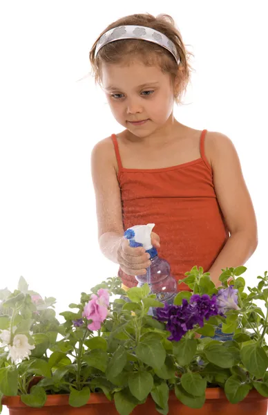 Ung flicka vattna en blomma — Stockfoto