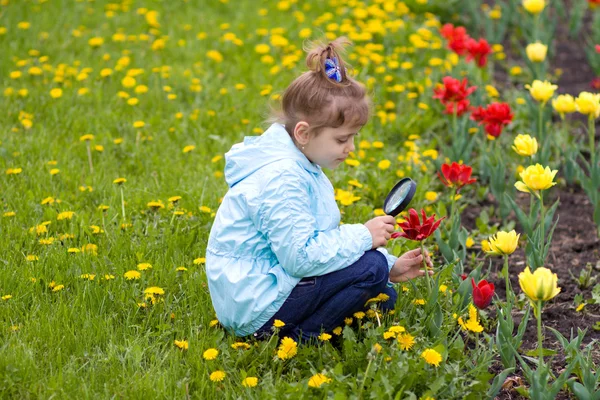 Νεαρή κοπέλα που ερευνά ένα λουλούδι — Φωτογραφία Αρχείου