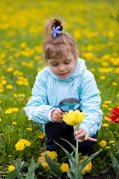 Νεαρή κοπέλα που ερευνά ένα λουλούδι — Φωτογραφία Αρχείου