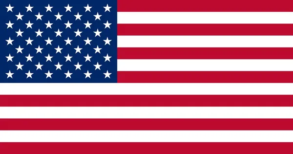 Estados Unidos Bandera estándar — Vector de stock