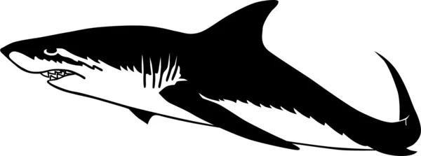 Tubarão — Vetor de Stock