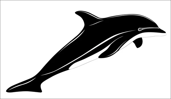 Delfín, tattoo — Stockový vektor