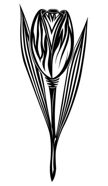 Tulip, tattoo — Stock Vector