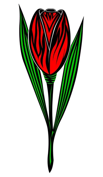 Tulipano — Vettoriale Stock