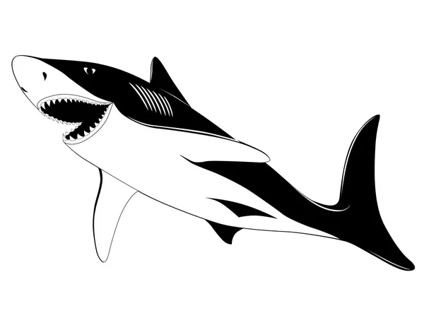 サメ, タトゥー — ストックベクタ