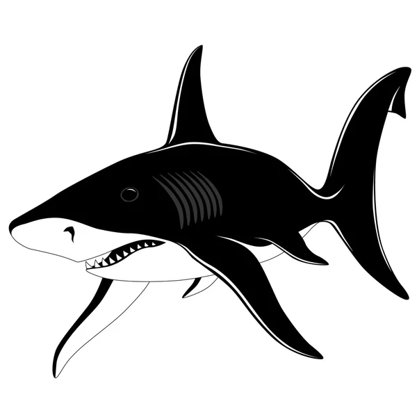 Žralok, tetování — Stock vektor