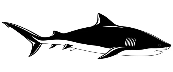 Tiburón — Archivo Imágenes Vectoriales