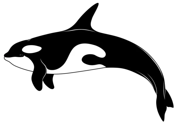 Φάλαινα δολοφόνος, τατουάζ — Διανυσματικό Αρχείο