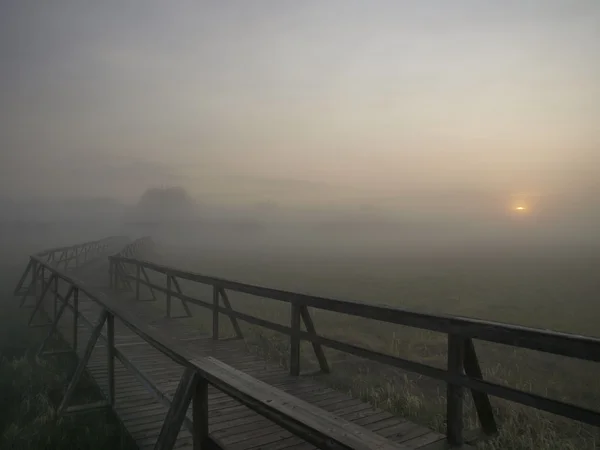 Boardwalk gündoğumu