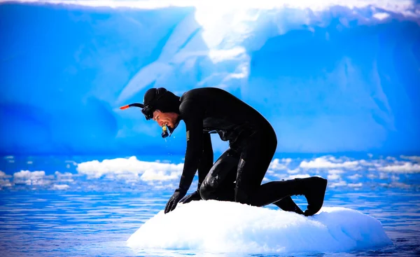 Een duiker op het ijs — Stockfoto