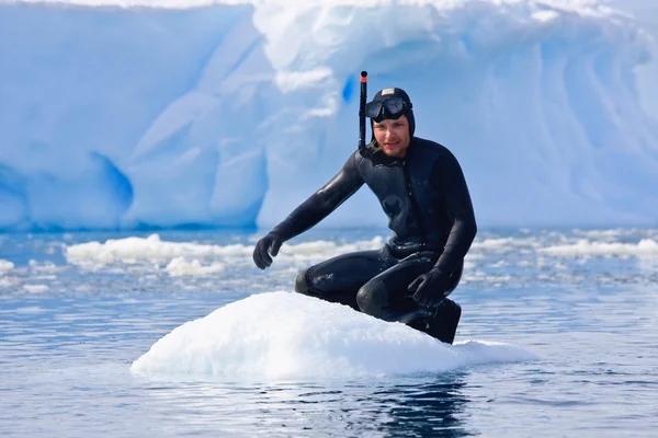 Potápěč na ledě — Stock fotografie