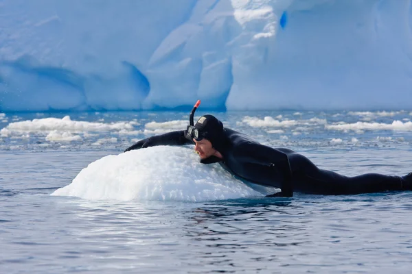 ダイバーは氷の上 — ストック写真
